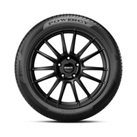 225/55  R19  Pirelli POWERGY 99V Вид 3
